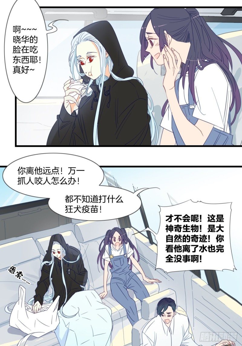 家养落魄美人漫画,第十五话2图