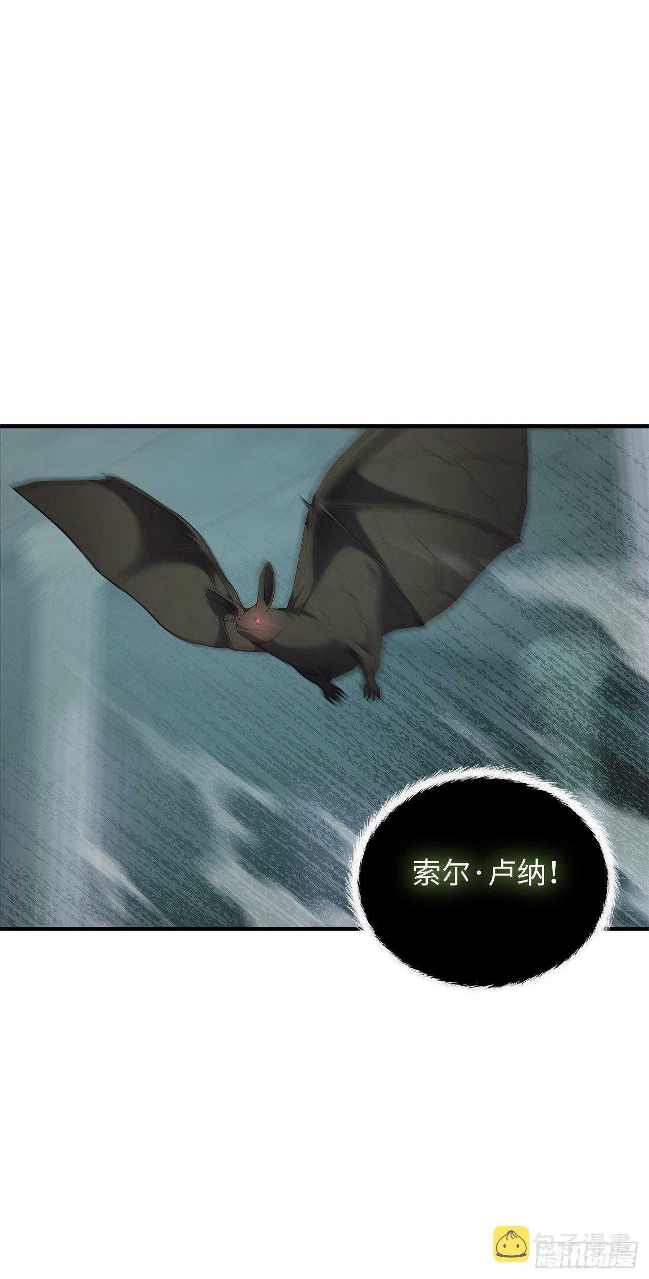 重生归来的战士漫画,115.守护猴王的猴群2图