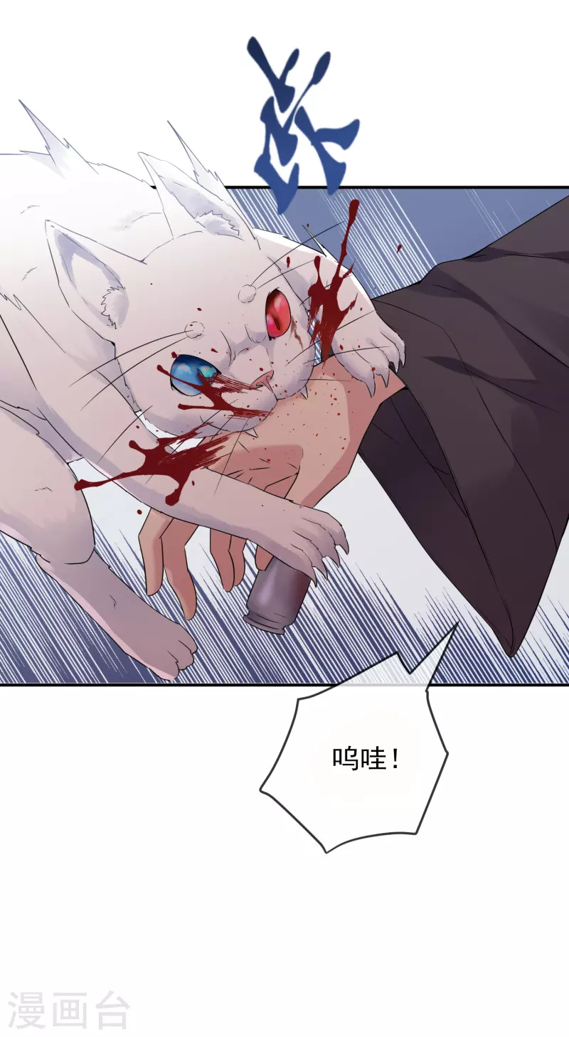 我有一座冒险屋漫画,第116话 秘密武器1图