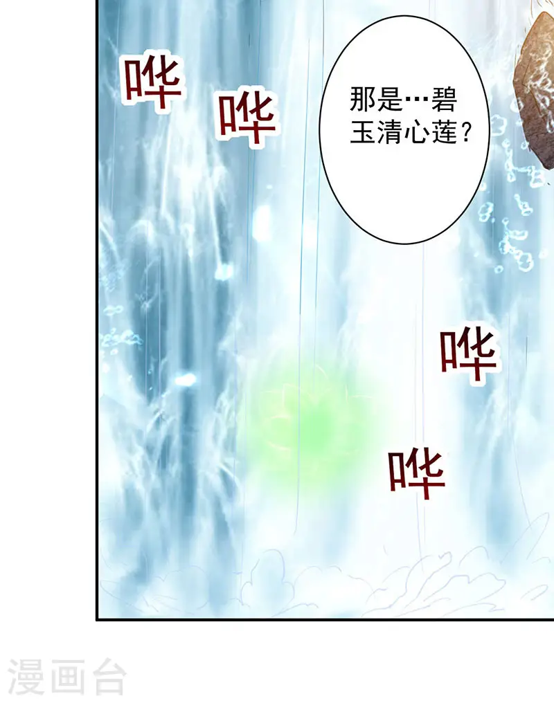 凌天神帝叶擎苍正版免费漫画,第11话 碧玉清心莲1图