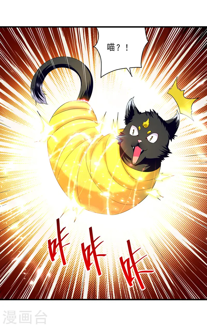 凌天神帝第一季动漫免费观看漫画,第149话 收服小猫咪2图