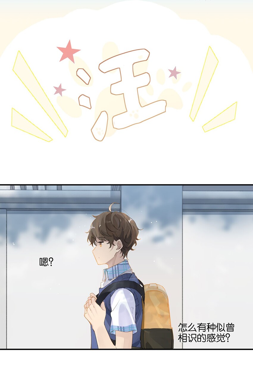 别来无恙徐瑶林淮生试衣间漫画,第11话 要把人哄回来呀2图