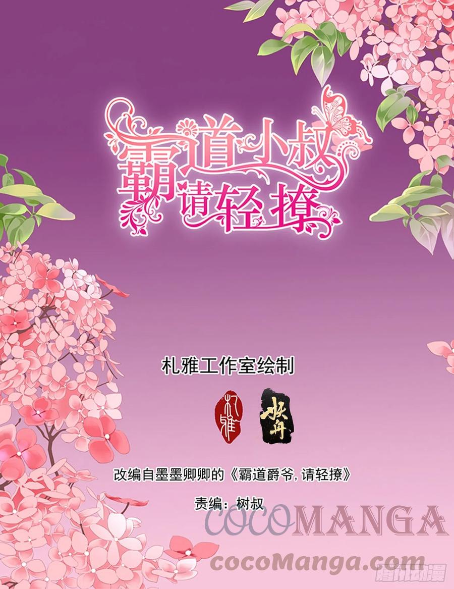 霸道小叔，请轻撩！漫画,公主逼婚2图