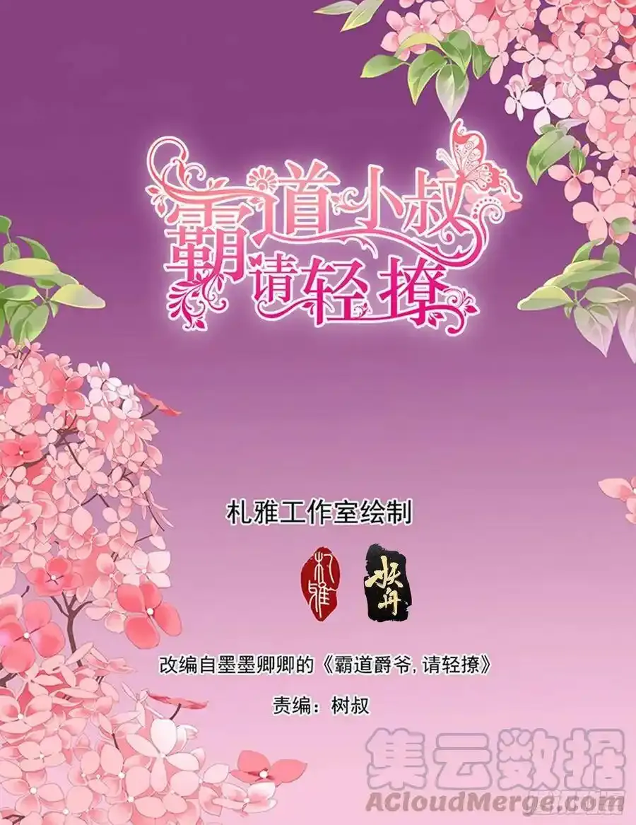 霸道小叔，请轻撩！漫画,回家包扎2图