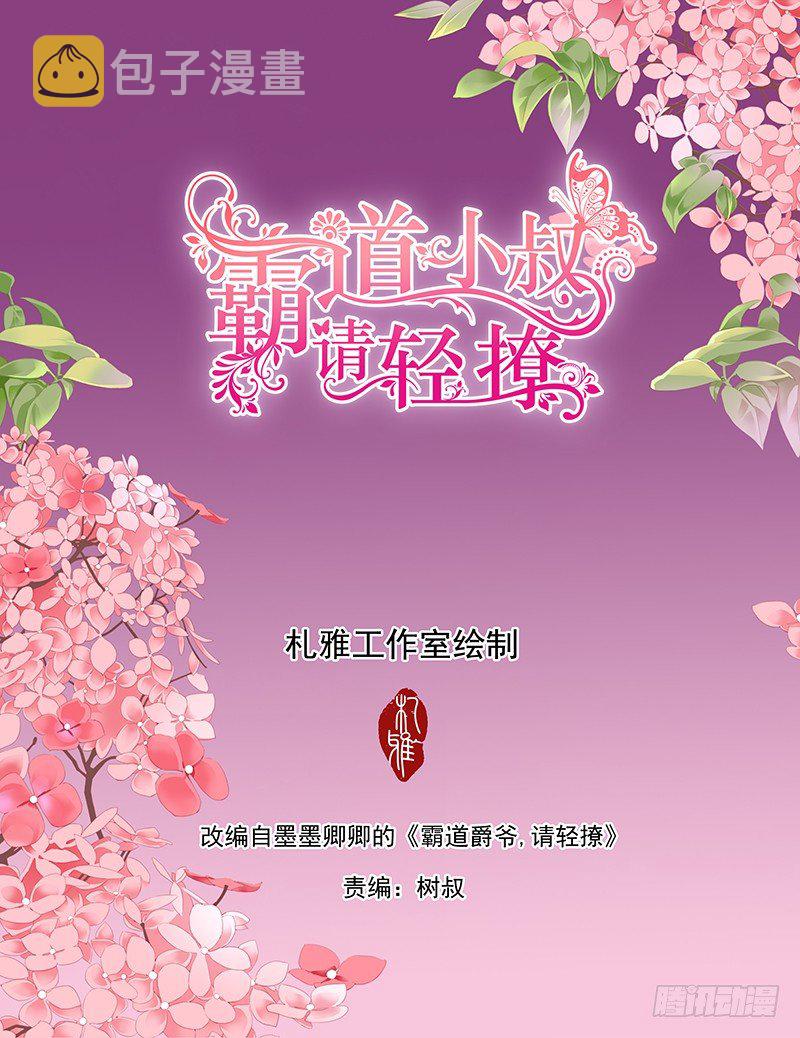 霸道小叔请轻撩漫画,我大概是疯了2图