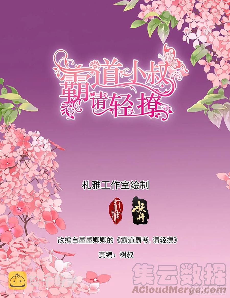 霸道小叔，请轻撩！漫画,抓到你咯2图