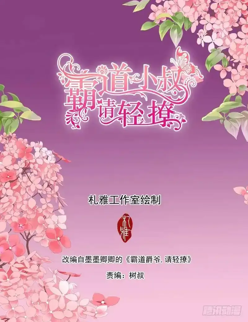 霸道小叔，请轻撩！漫画,霍司寒究竟是谁？2图