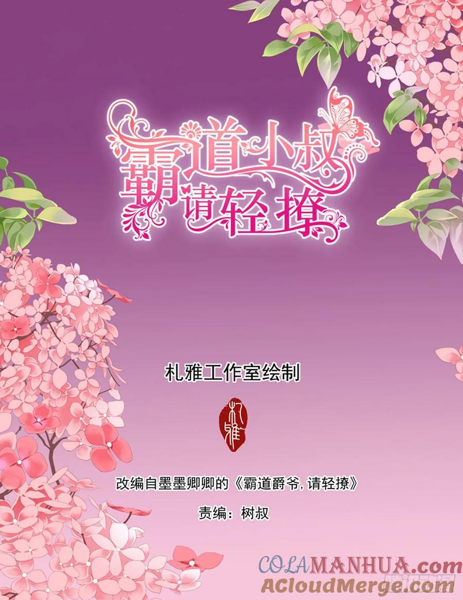 霸道小叔，请轻撩！漫画,坏坏小叔的妙计2图