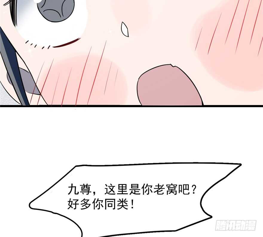 毒步天下特工神医小兽妃结局漫画,492图