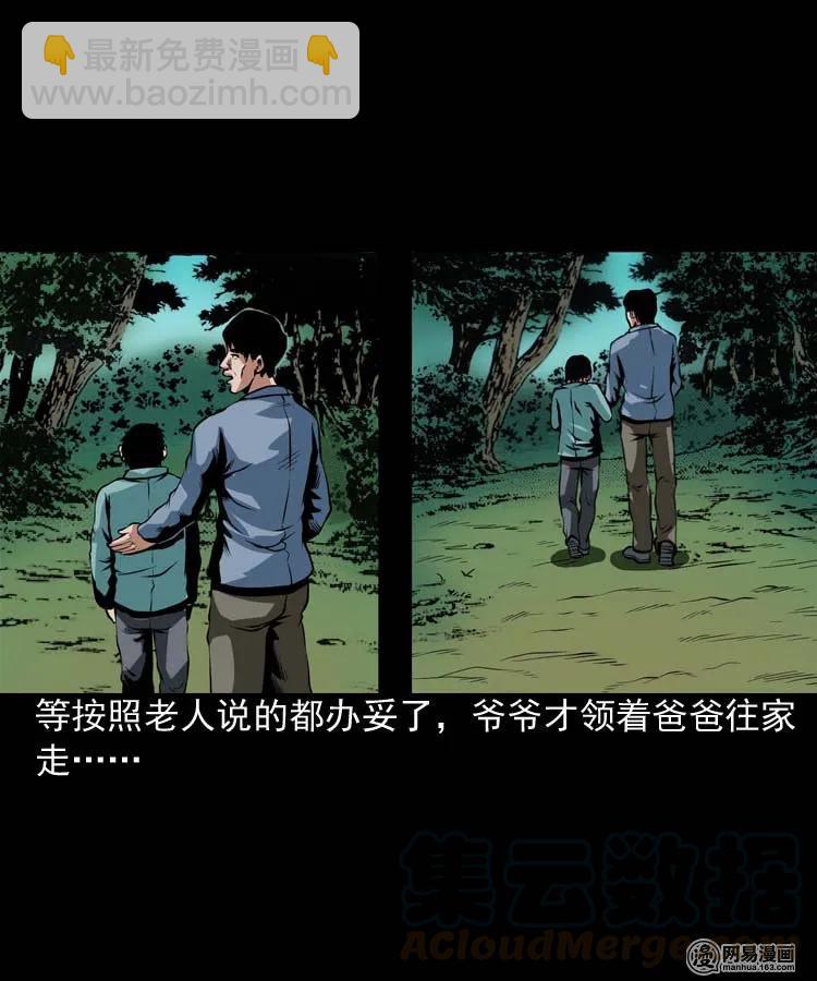 三老爷惊奇手札漫画,178 发夹1图