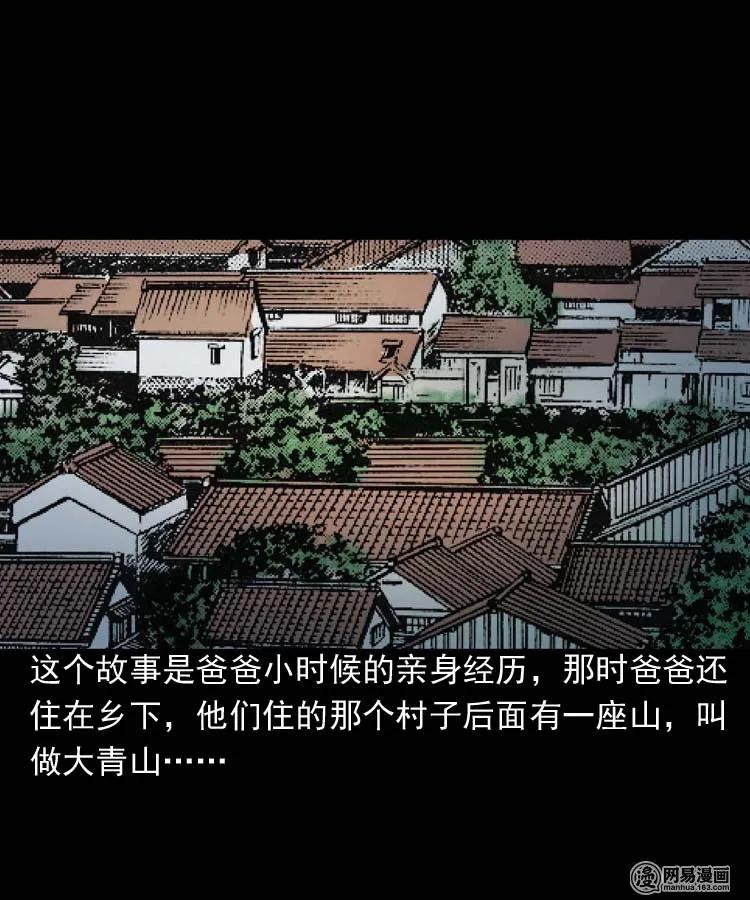 三老爷惊奇手札漫画,178 发夹2图