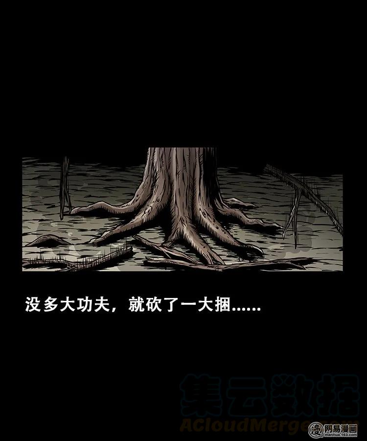 三老爷惊奇手札漫画,104 邪树2图