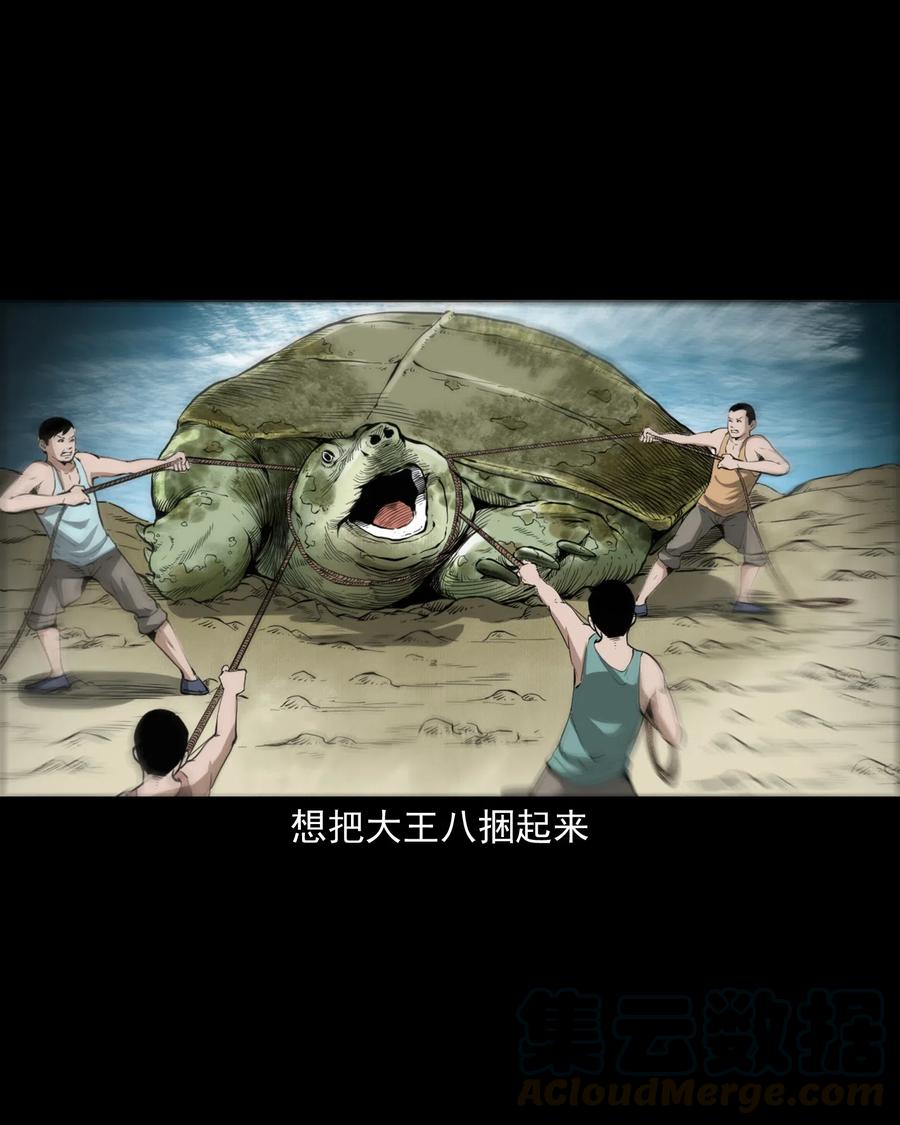 三老爷惊奇手札漫画,493 大王八2图