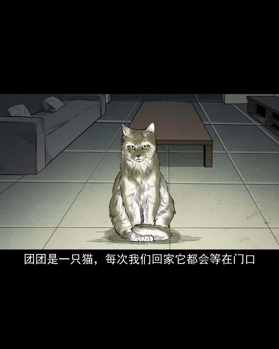 三老爷惊奇手札漫画,511 猫看见了什么2图