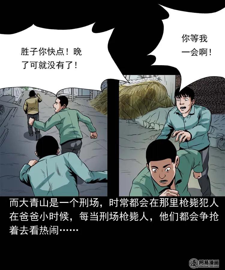 三老爷惊奇手札漫画,178 发夹1图