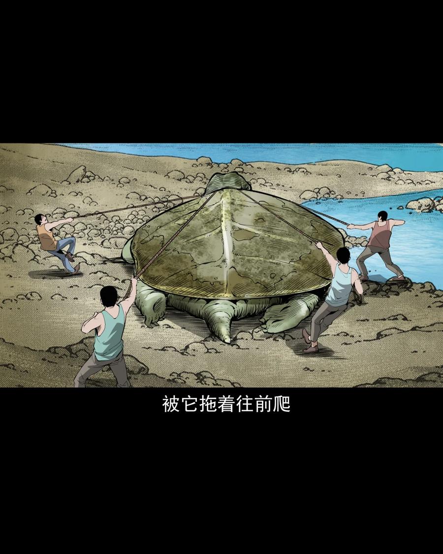 三老爷惊奇手札漫画,493 大王八2图