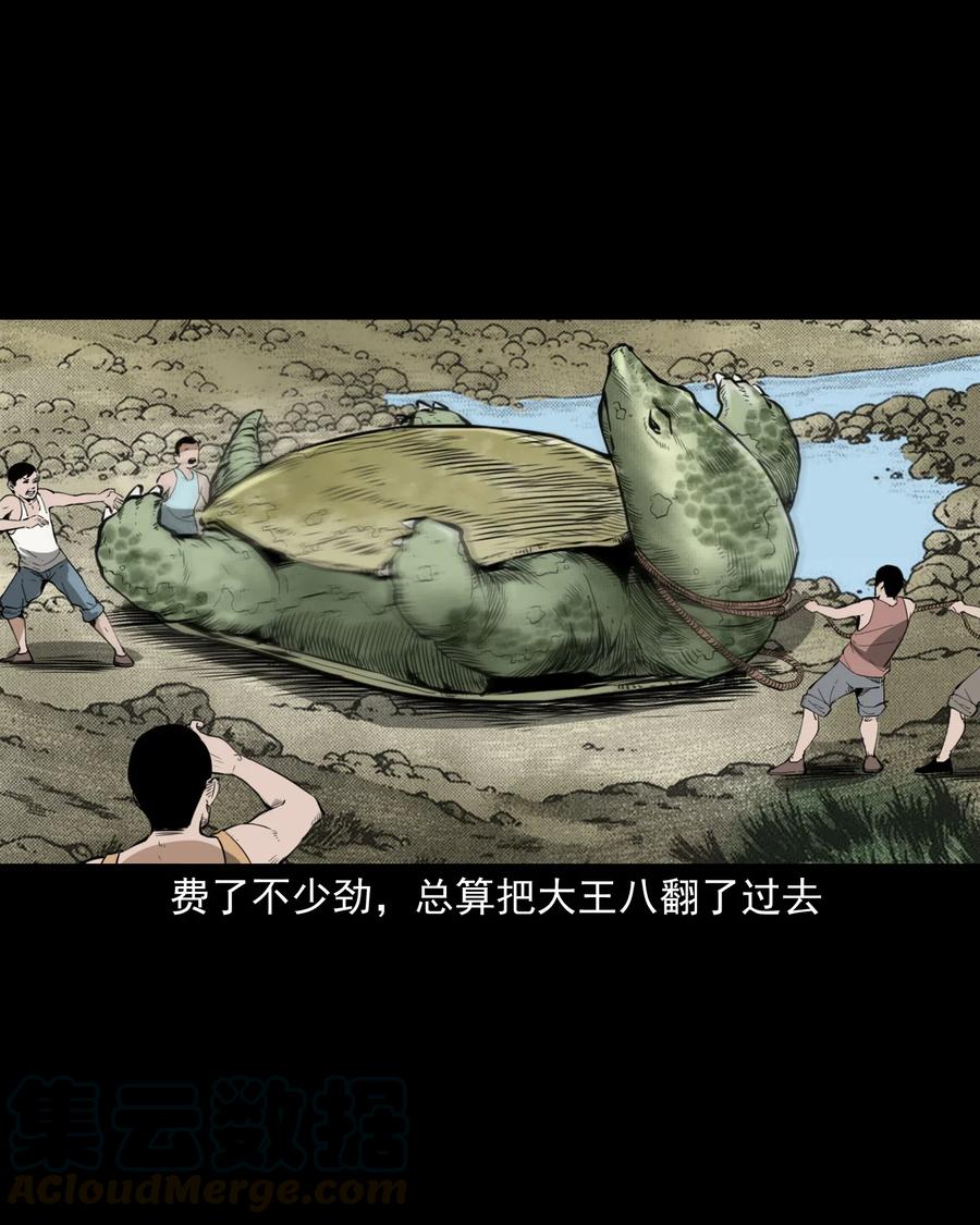 三老爷惊奇手札漫画,493 大王八2图