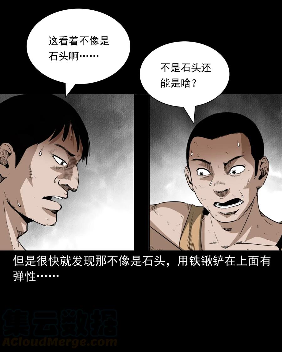 三老爷惊奇手札漫画,493 大王八1图