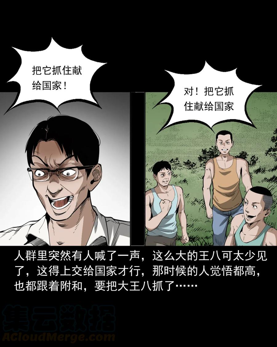 三老爷惊奇手札漫画,493 大王八1图