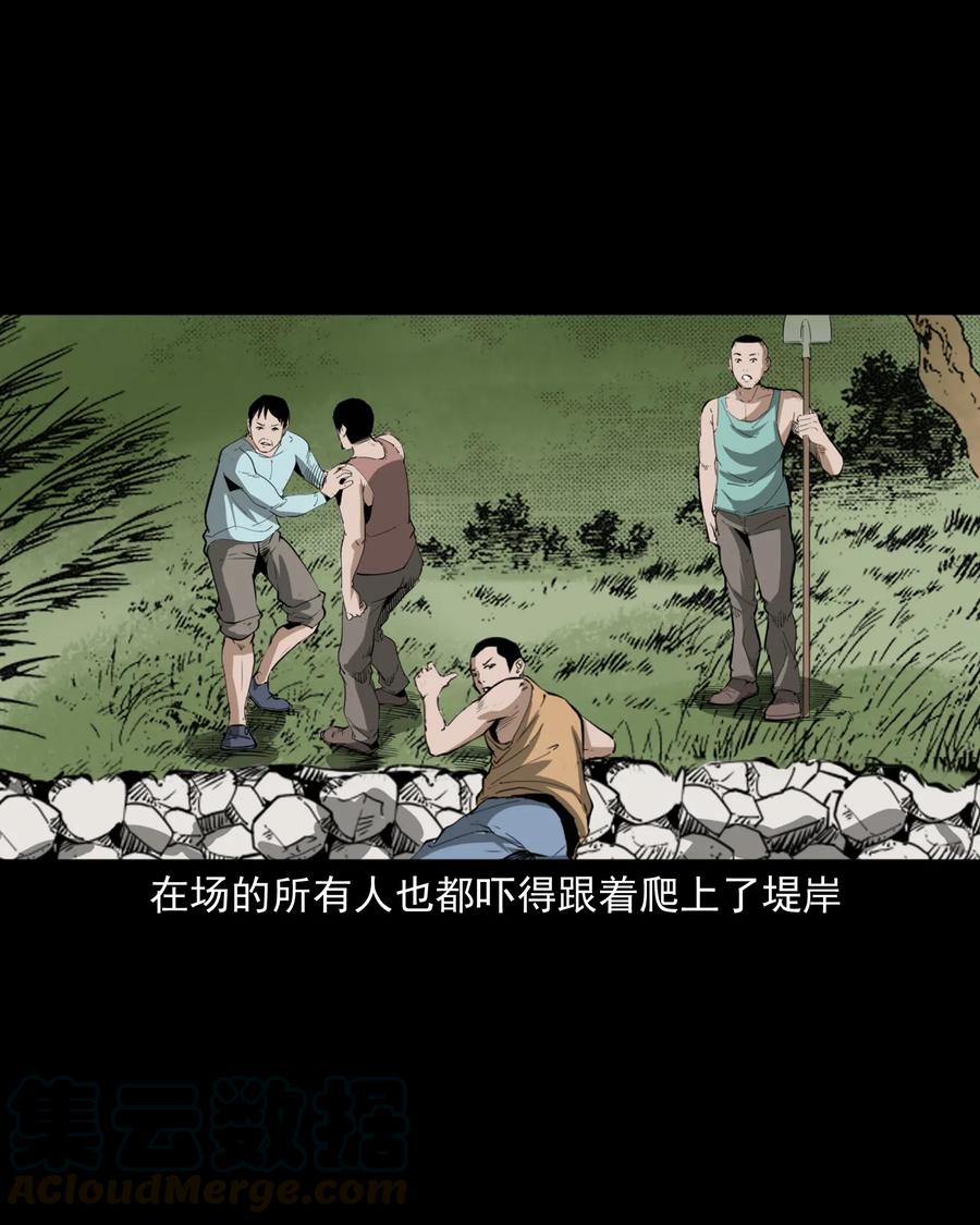 三老爷惊奇手札漫画,493 大王八2图
