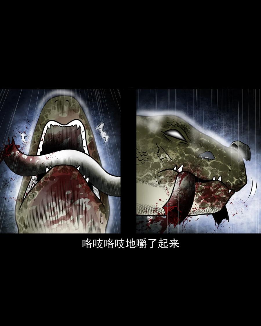 三老爷惊奇手札漫画,395 老烟鬼 362图