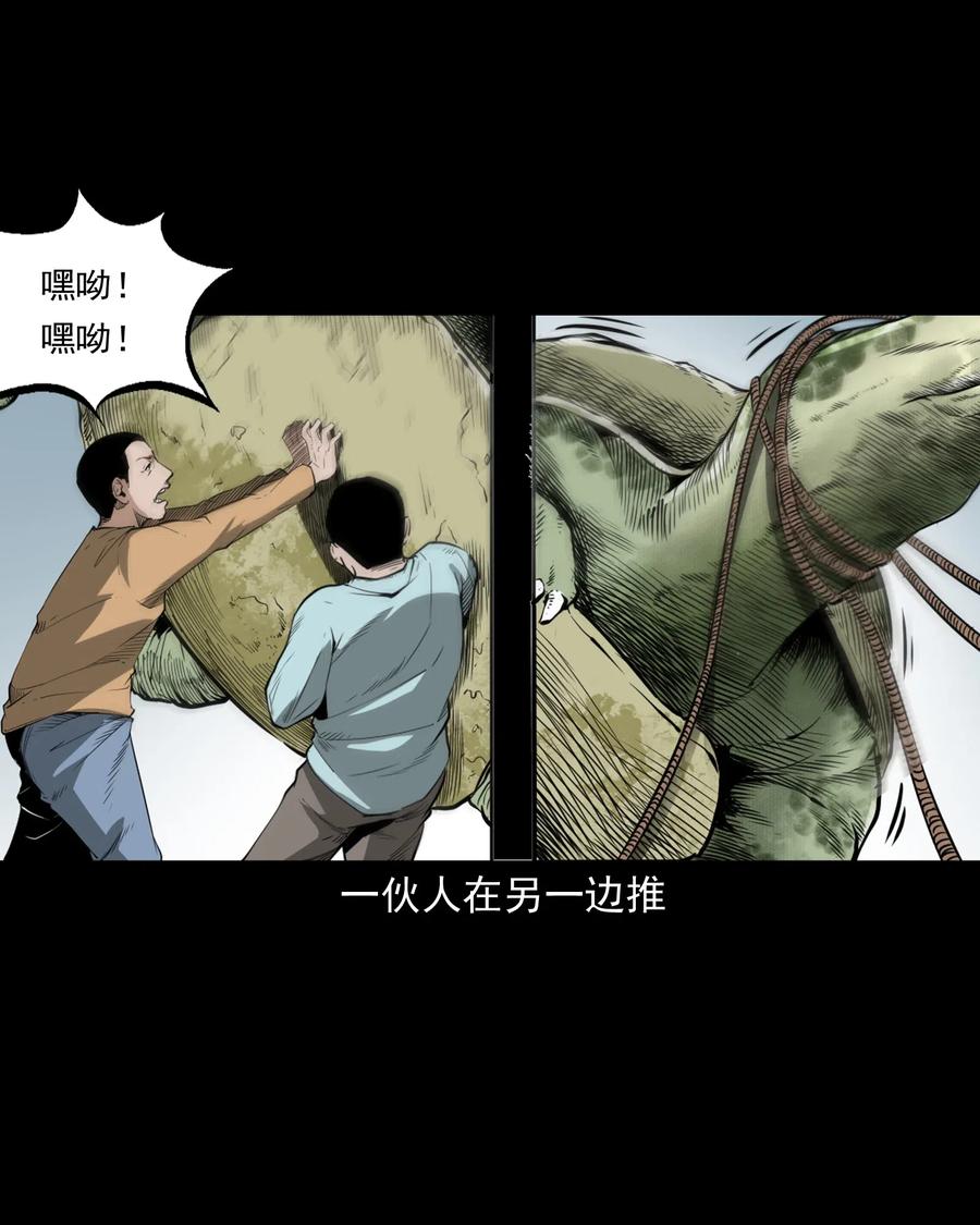 三老爷惊奇手札漫画,493 大王八1图