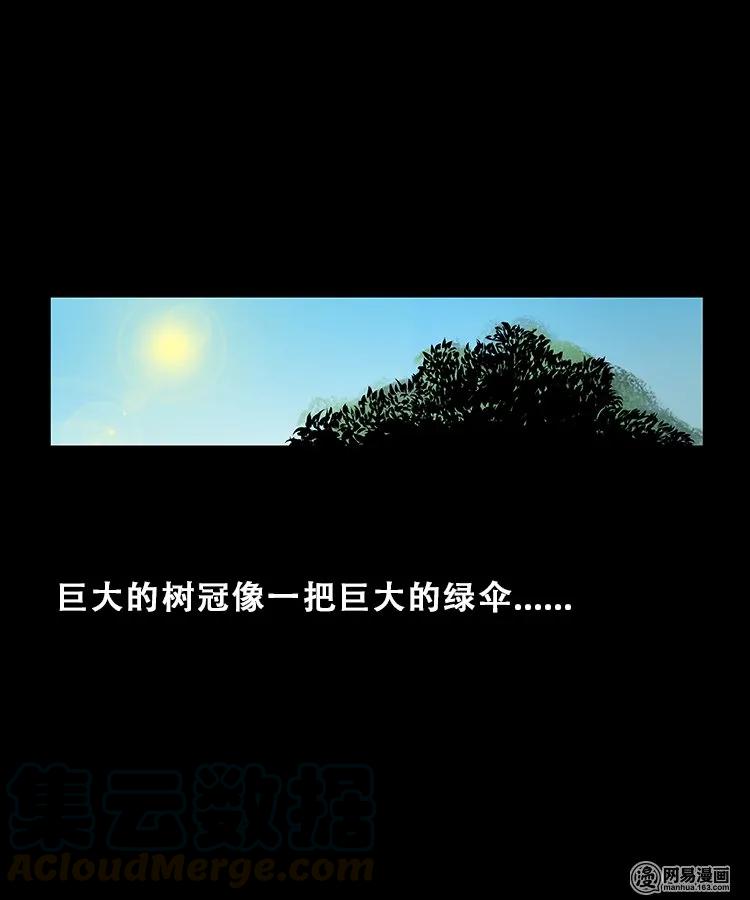 三老爷惊奇手札漫画,104 邪树2图