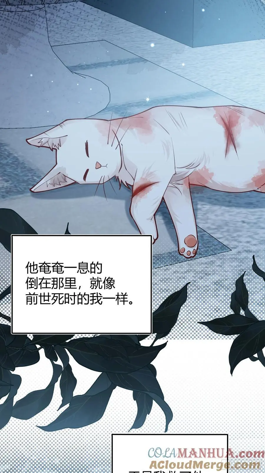 后宫就交给反派女配 漫画免费阅读漫画,091猫1图