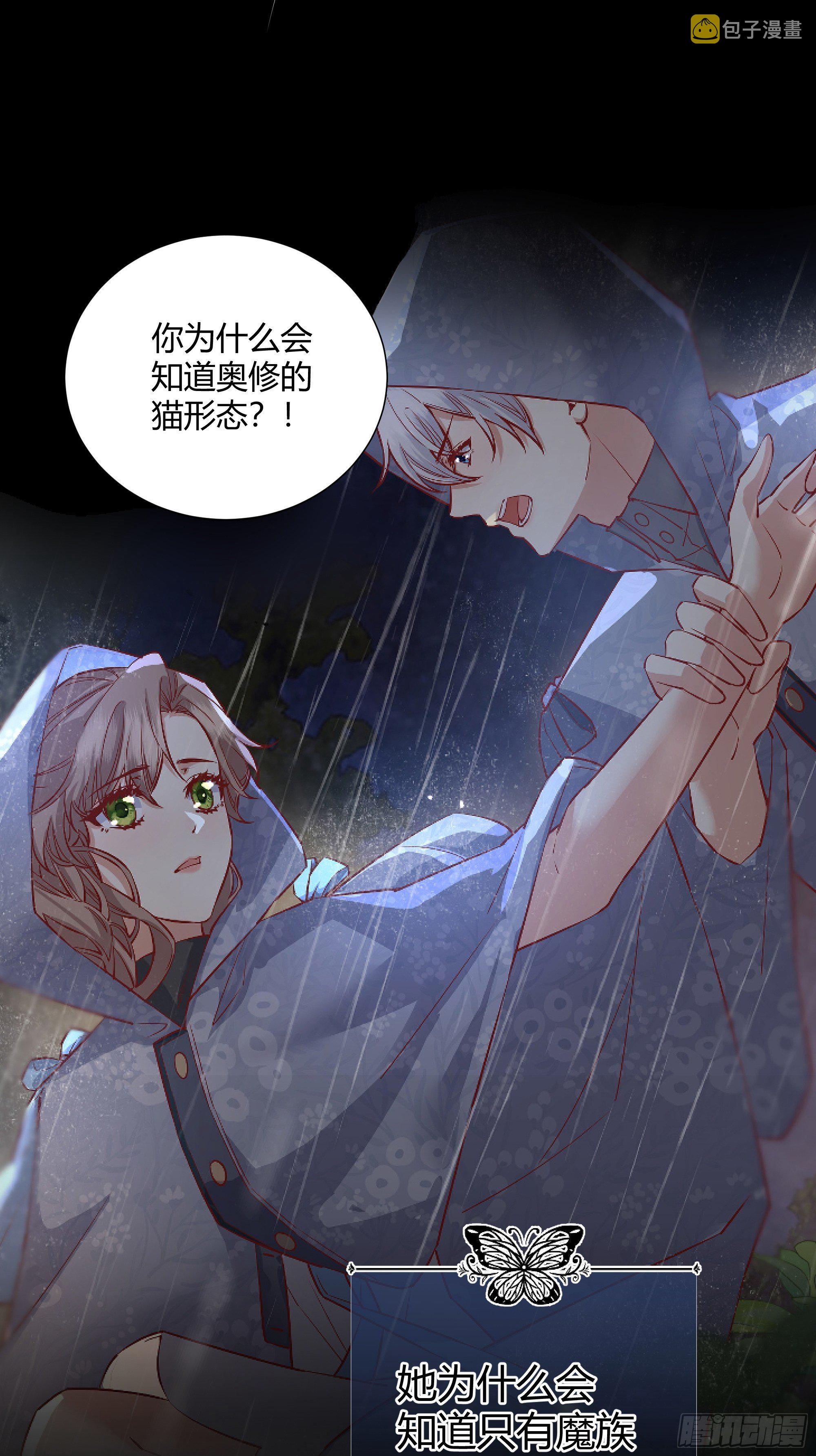 后宫就交给反派女配 漫画免费阅读漫画,番外.艾利尔2图