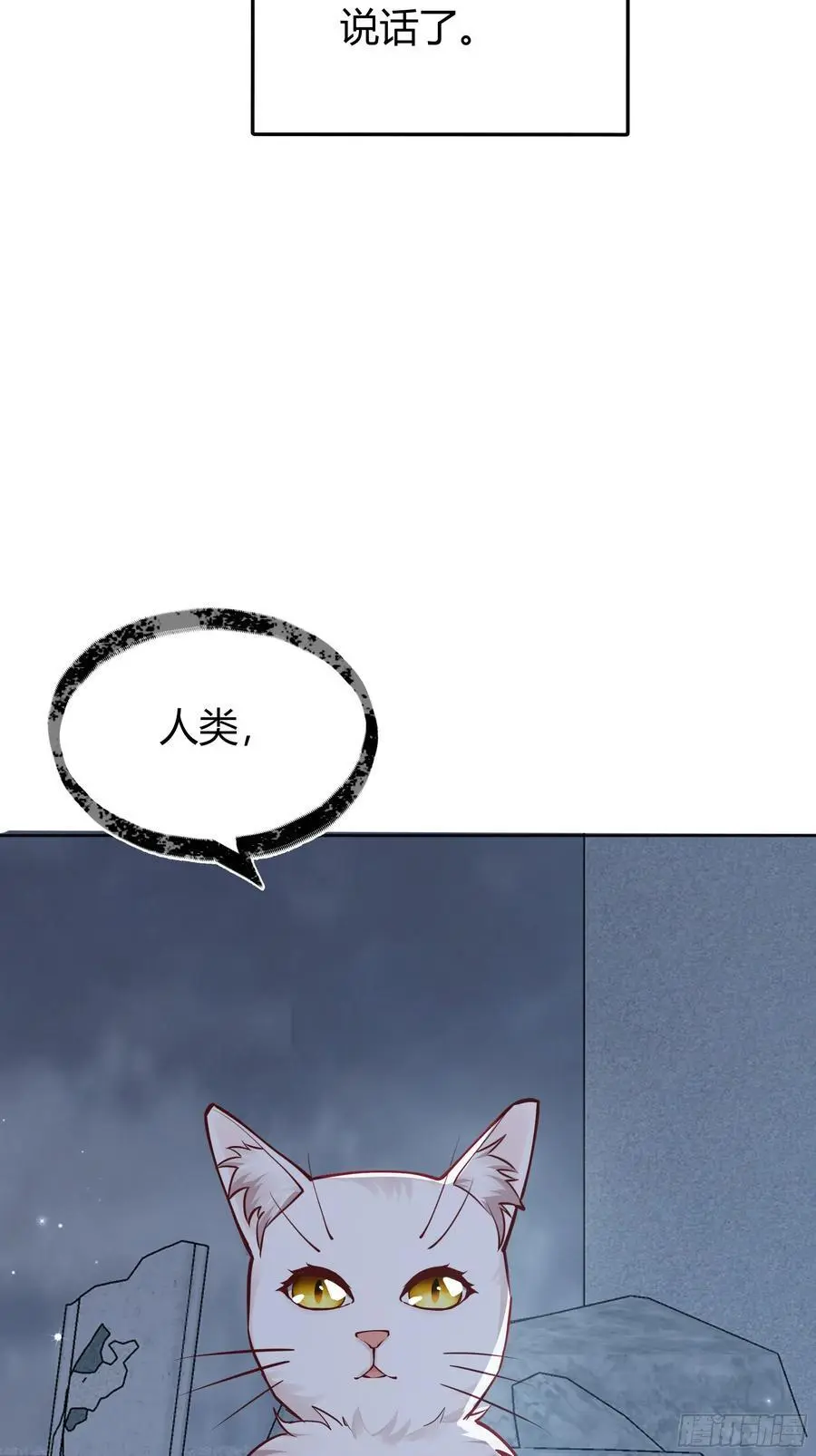 后宫就交给反派女配 漫画免费阅读漫画,091猫1图