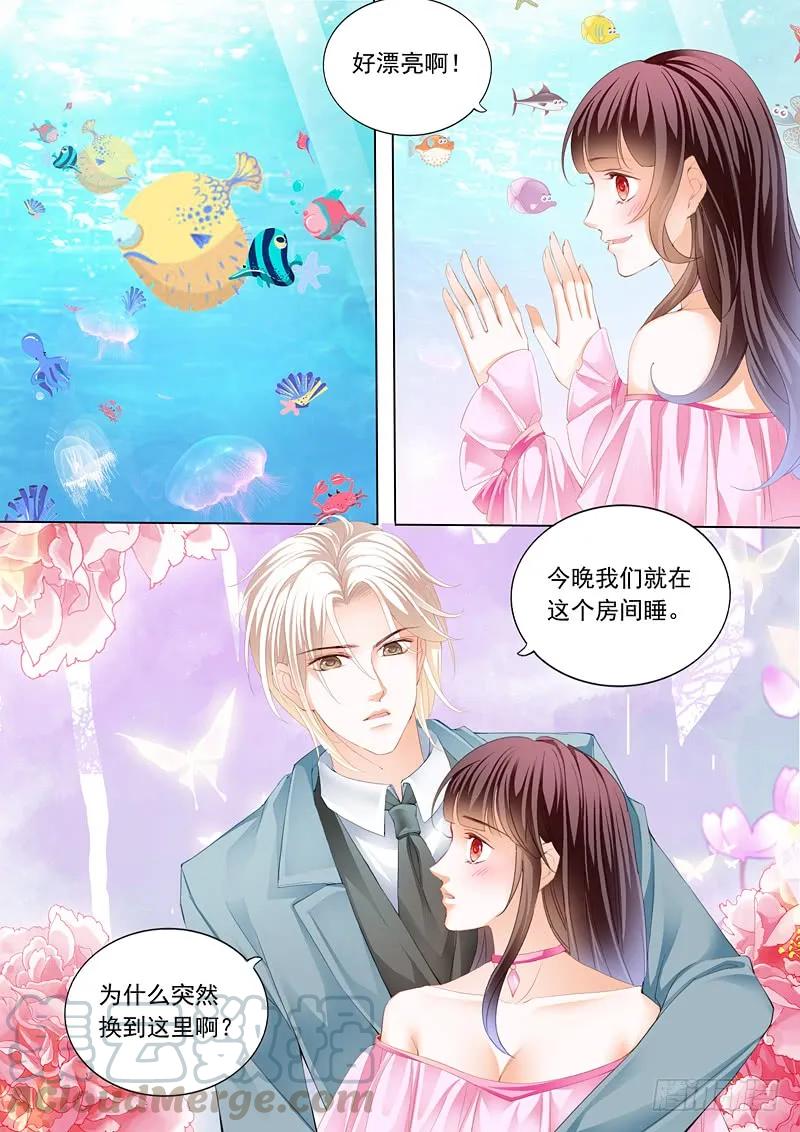 闪婚娇妻总裁爹地宠不够免费阅读漫画,在鱼儿面前1图