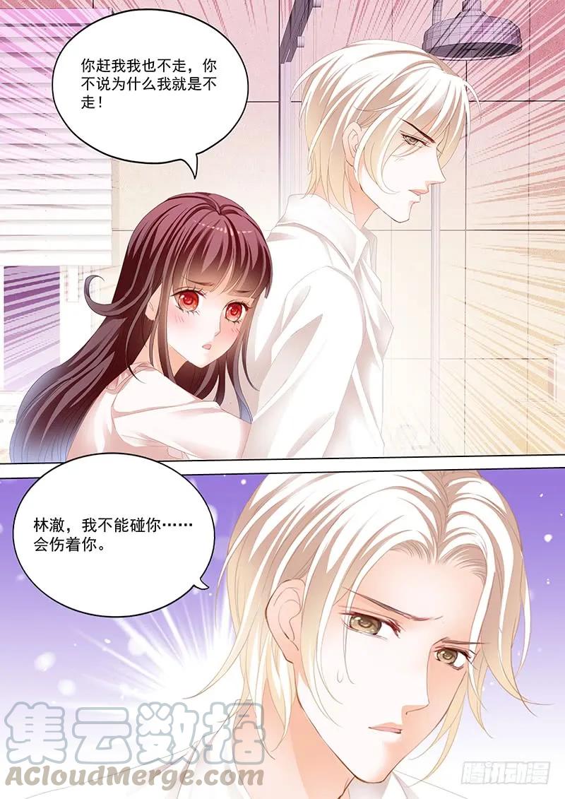 闪婚娇妻美又飒免费观看全集漫画,不是说好只摸肚子吗1图