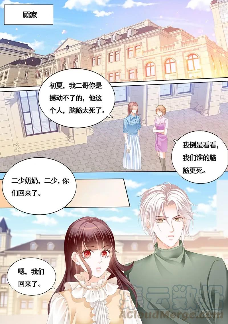 闪婚娇妻免费观看全集漫画,胆敢和我抢顾靖泽？1图