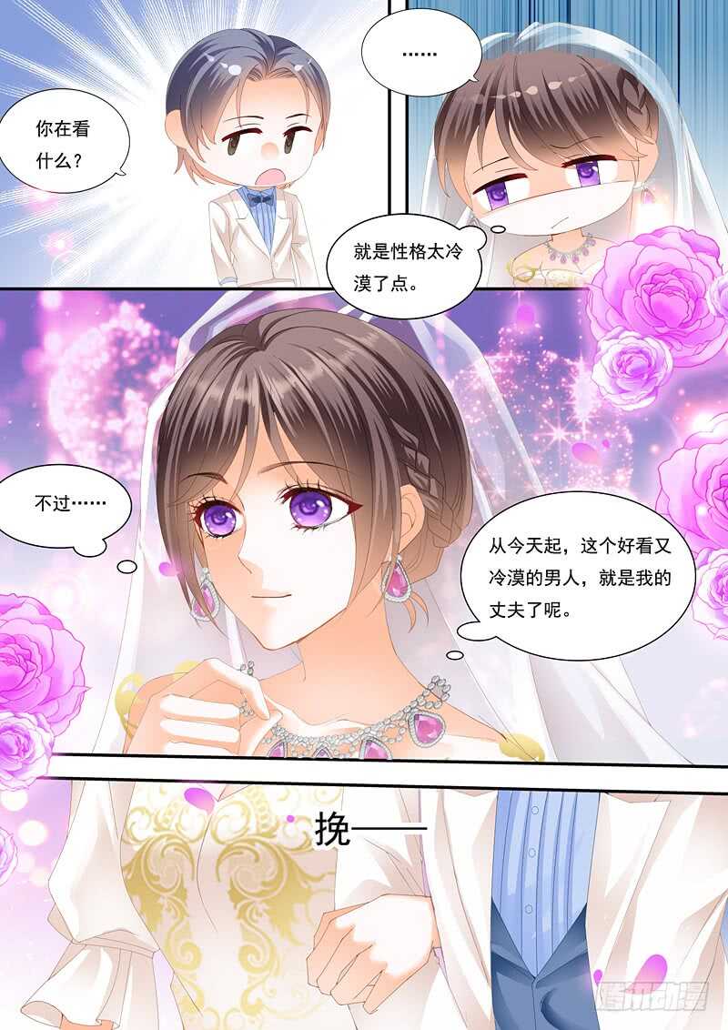 闪婚娇妻太迷人免费漫画,总统俞姐大婚1图