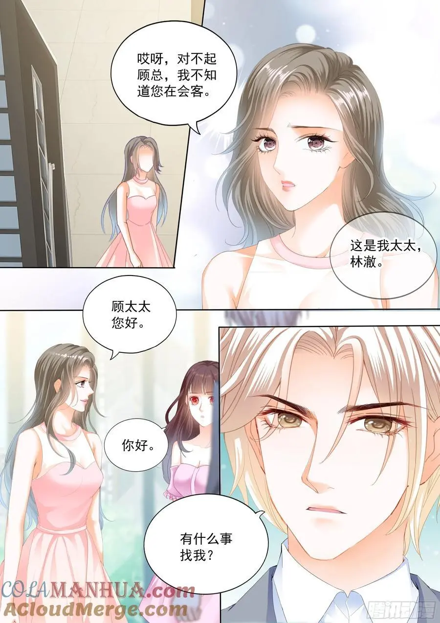 闪婚娇妻太迷人免费漫画,现在把你吃了2图