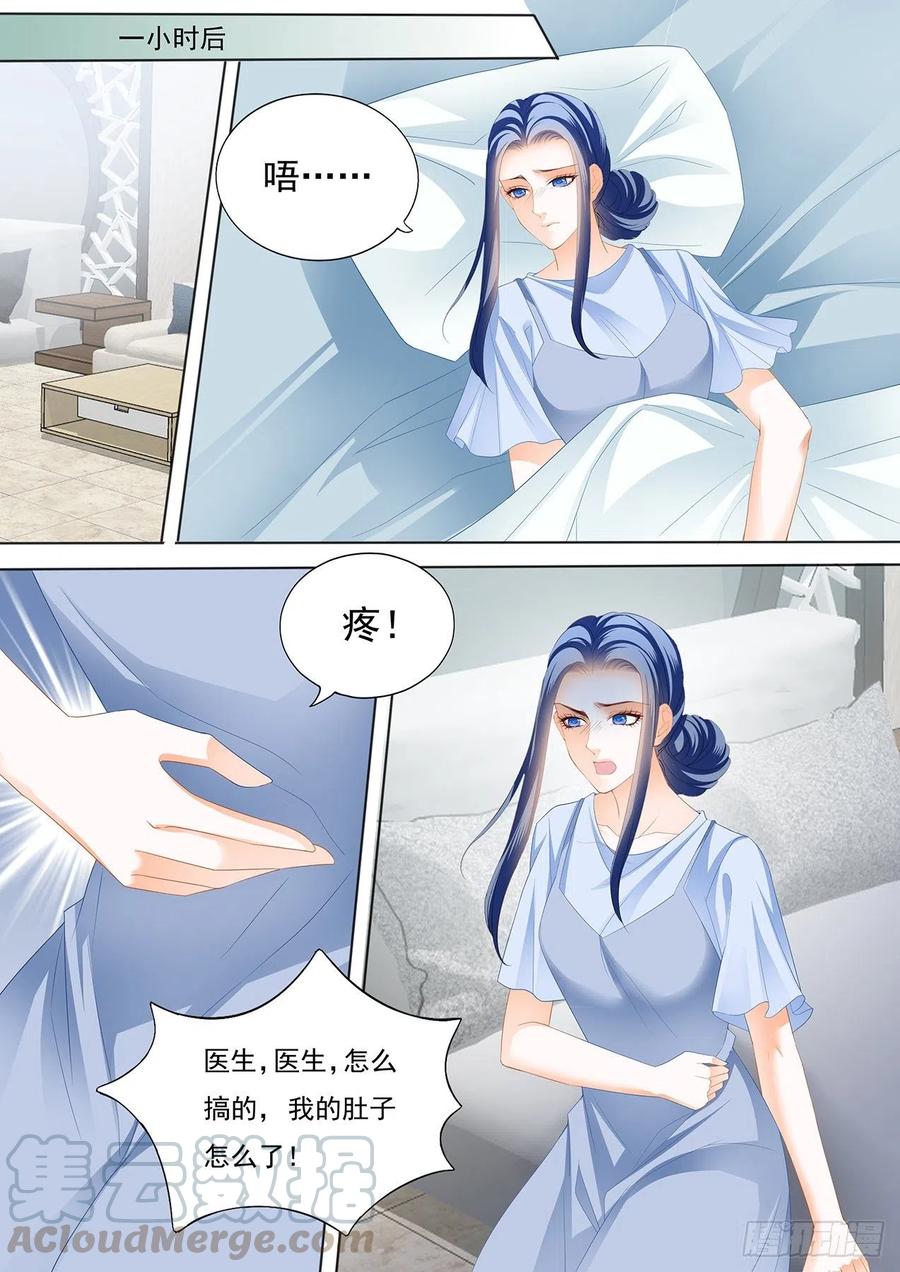 闪婚娇妻秦总乖乖宠上天大结局漫画,亲子鉴定1图