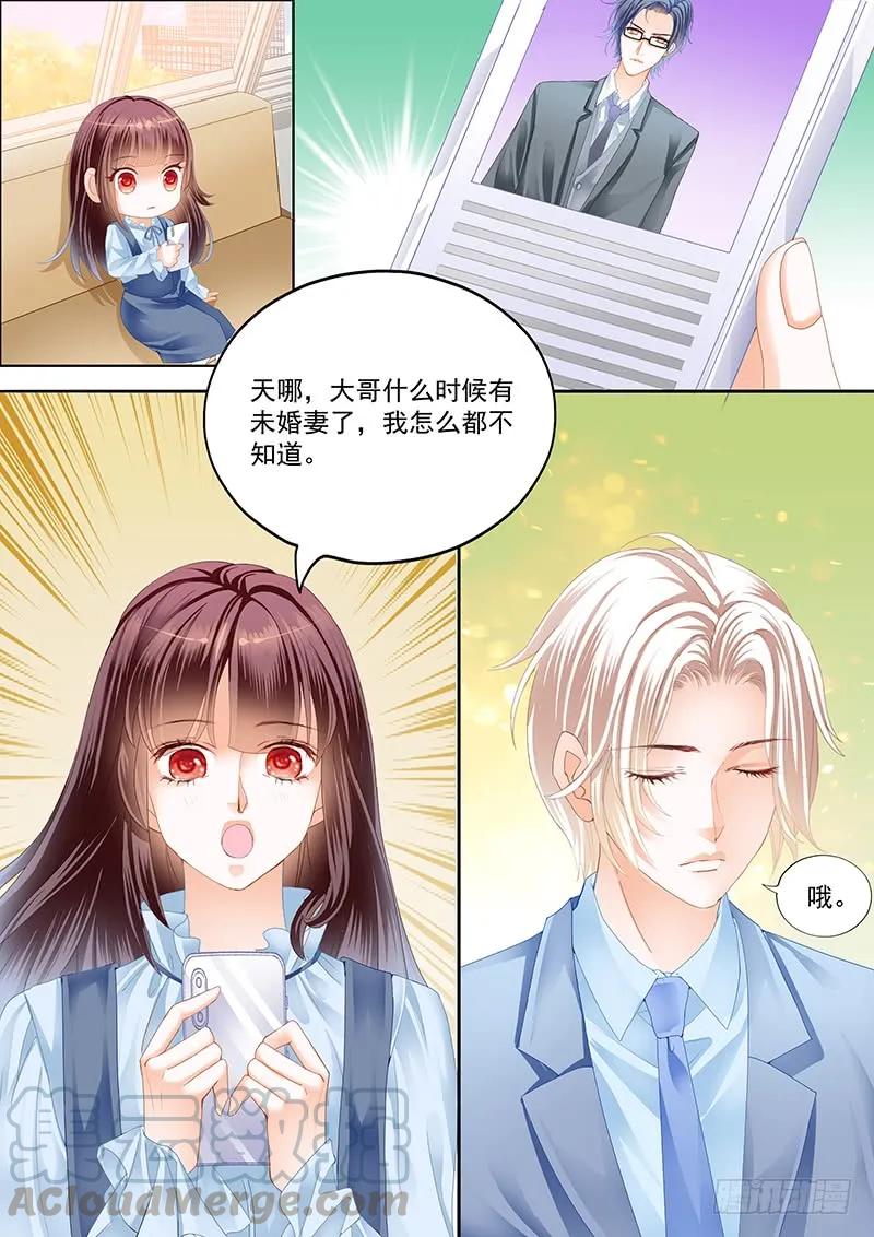 闪婚娇妻免费观看全集漫画,总统要结婚1图