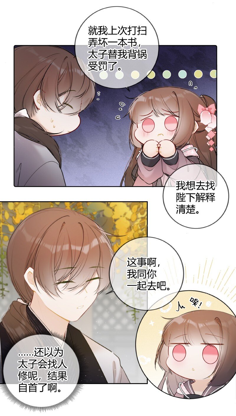 太子有位心上人全文漫画,047 只能替一人说情2图