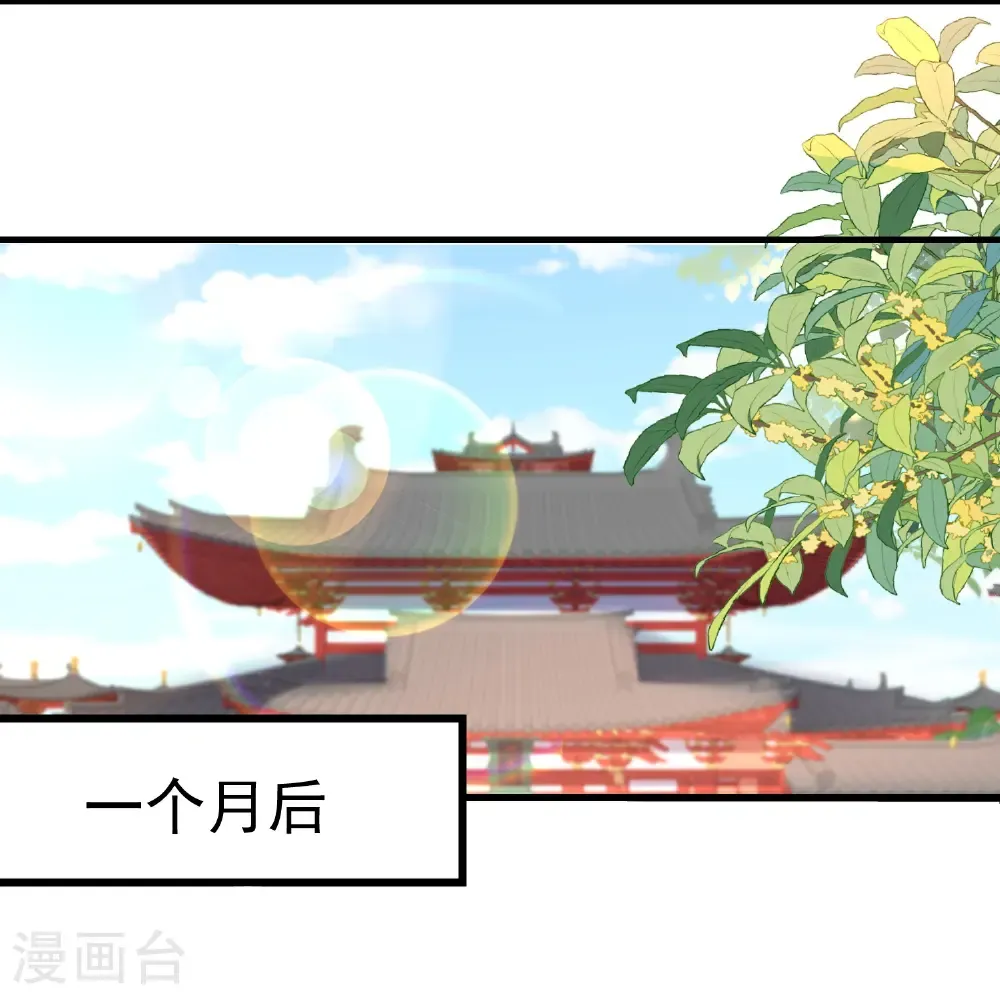 最强桃花运小说免费漫画,第307话 我们同去1图