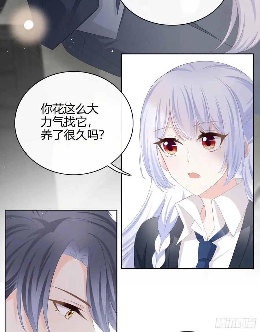 当影后不如念清华(重生考清华)漫画免费漫画,幸福来得太突然了2图