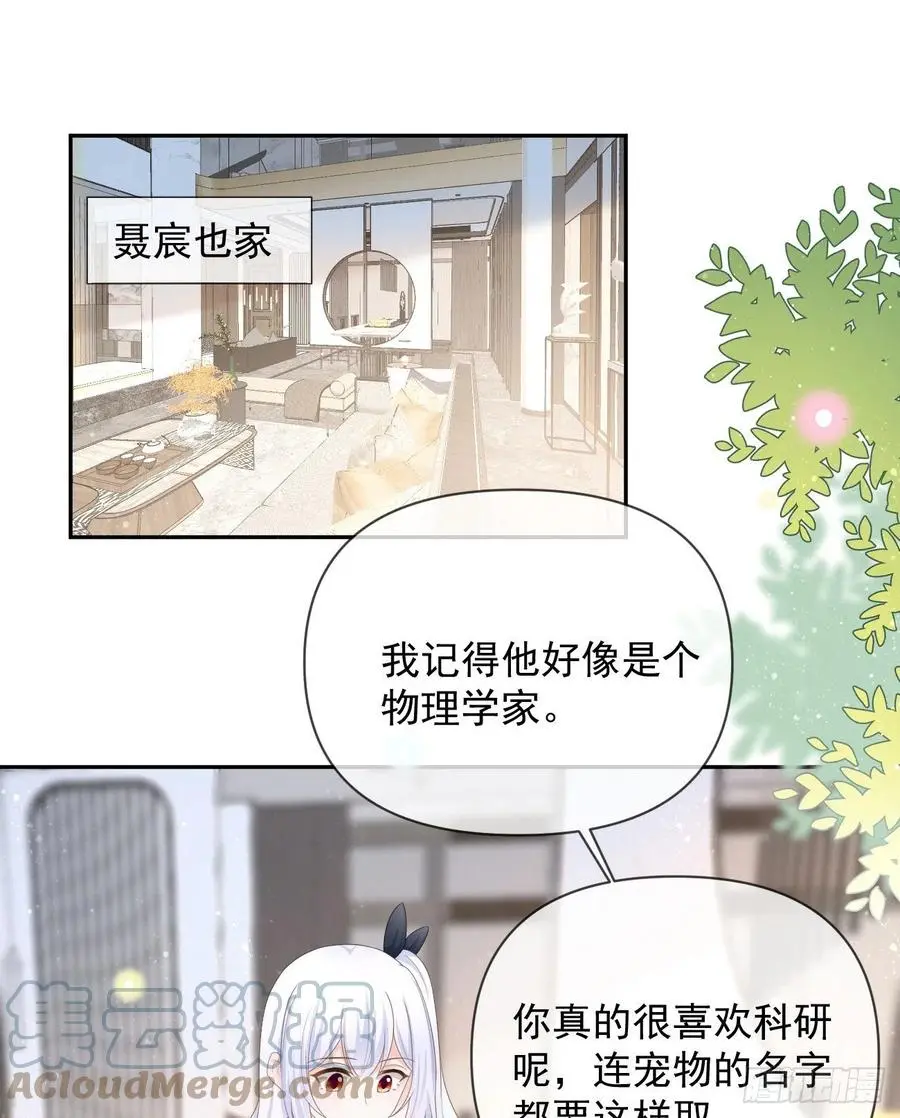 当影后不如念清华漫画免费漫画,薛定谔的猫2图