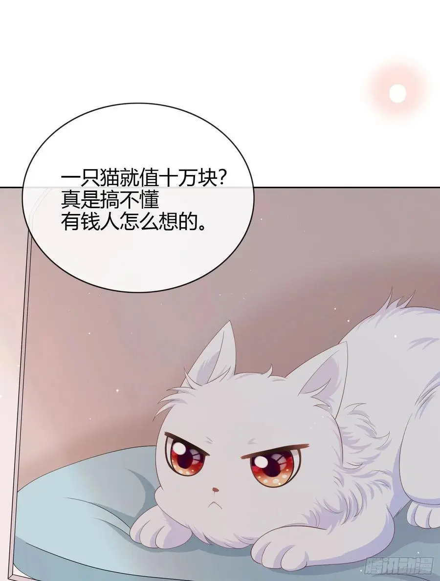 当影后不如念清华（重生考清华）漫画,绿茶终结者2图