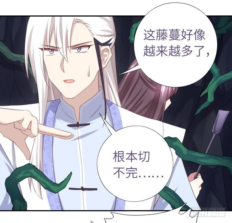 神厨狂后漫画,第87话 危机四伏1图