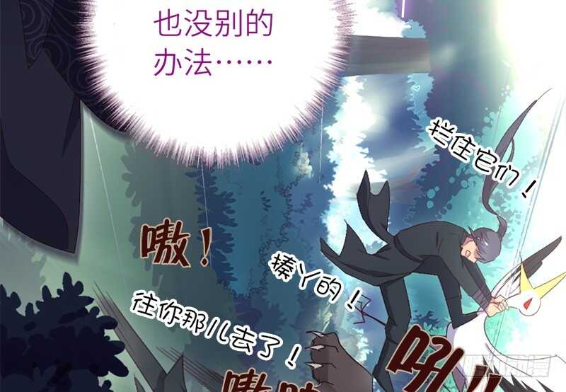 神厨狂后漫画,第29话 紫云公主1图