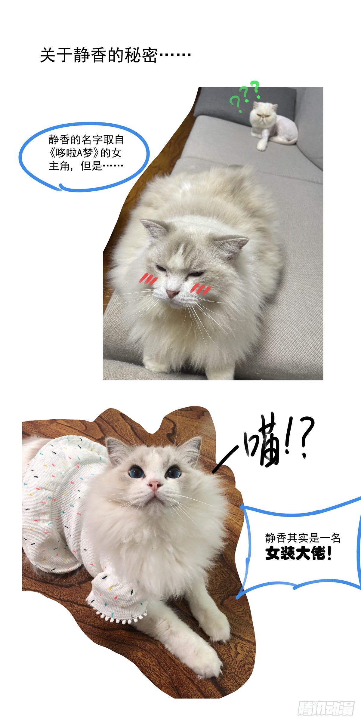 赛博英雄传武神漫画,009一败已百年2图