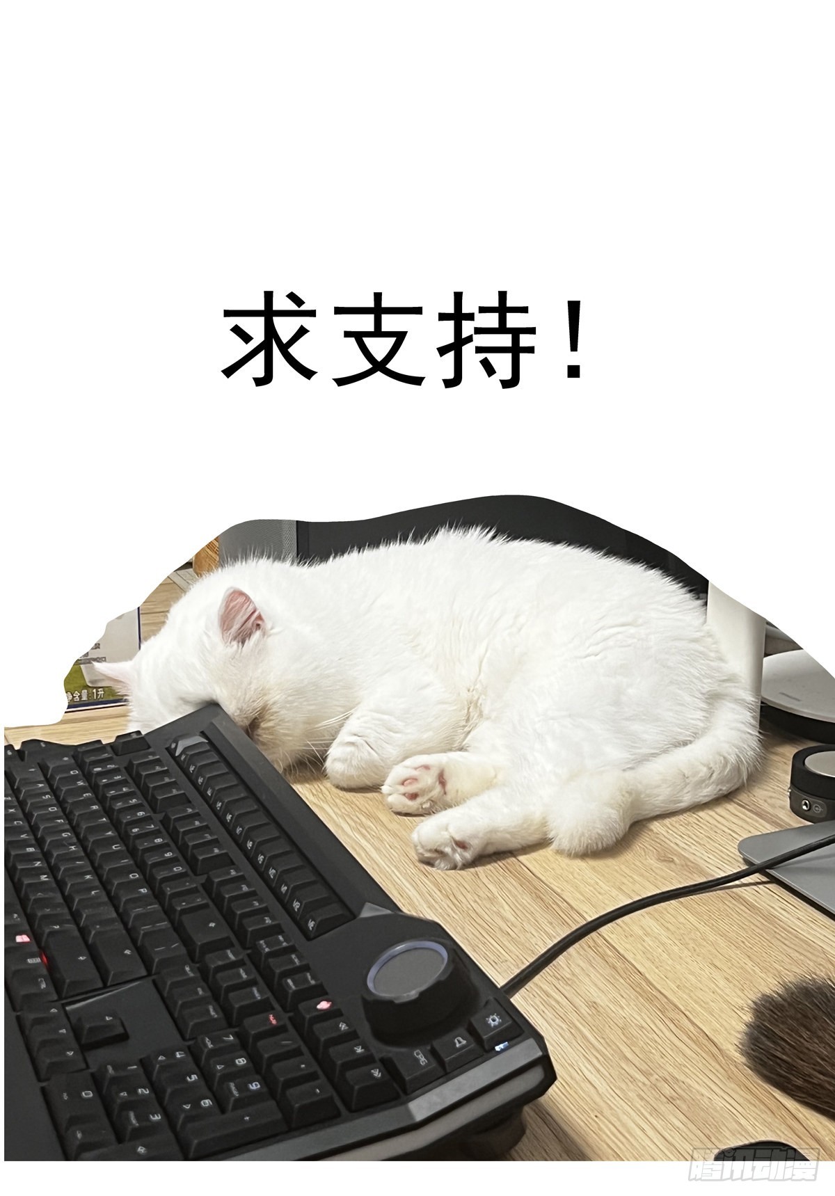 赛博英雄传武神漫画,064绝对防御1图