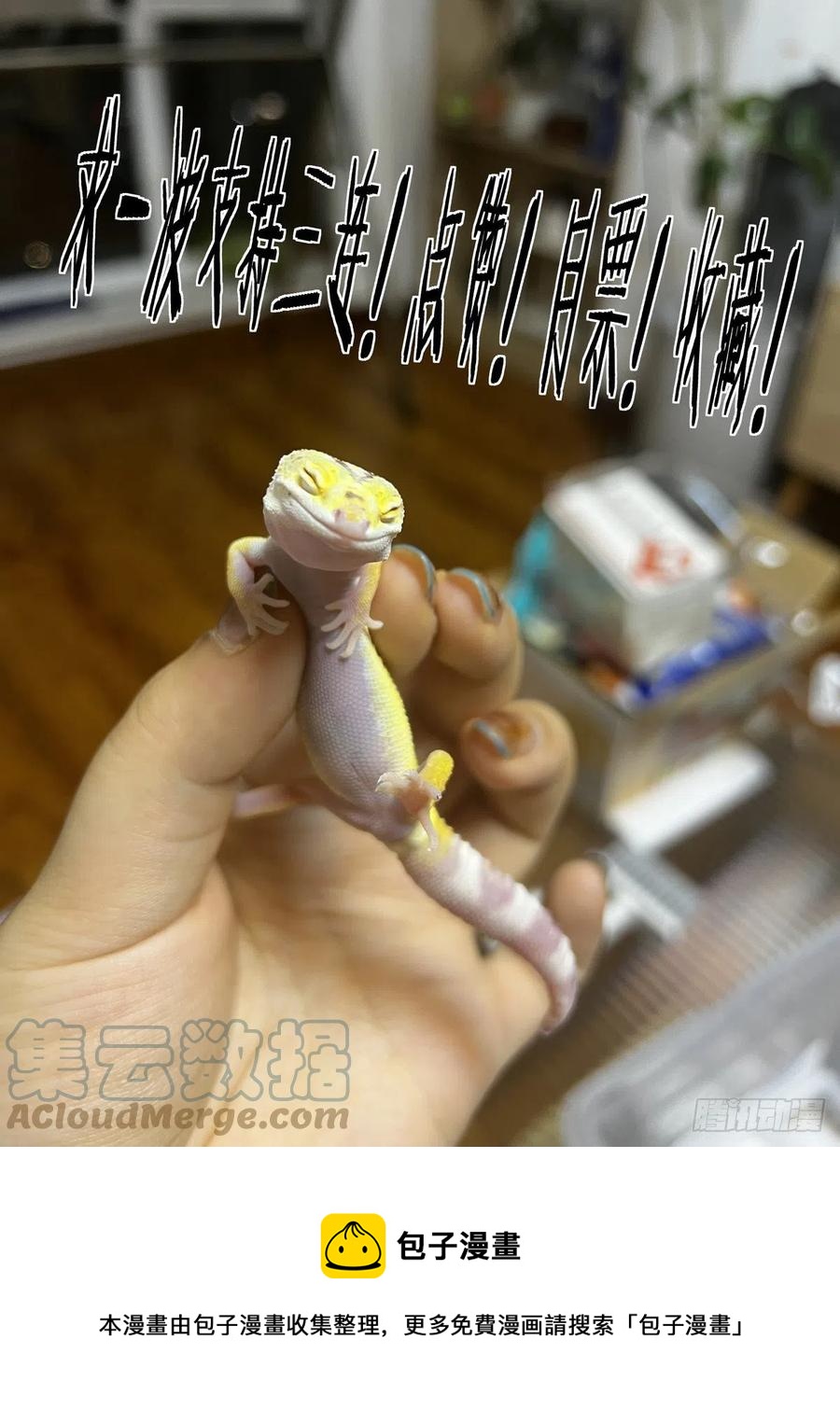 赛博英雄传武神漫画,039榜单、江湖规矩与狂猎犬1图