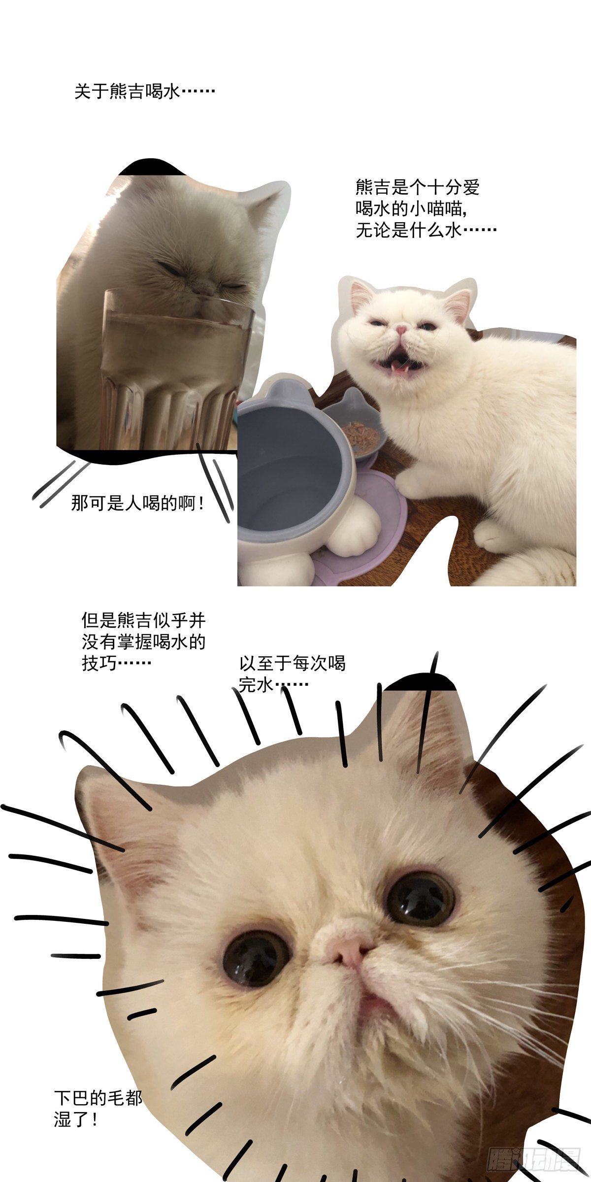 赛博英雄传武神漫画,017侠义长存2图