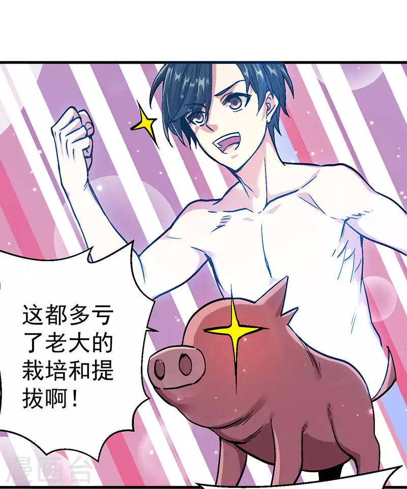 剑舞江南怀旧版客户端下载漫画,第3话 狩猎野猪任务2图