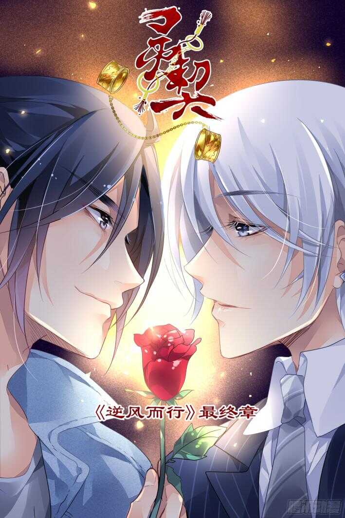 灵契漫画571全集免费漫画,273：逆风而行（十三）1图